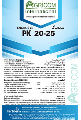 PK (S) 20.25