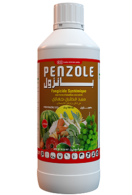 PENZOLE